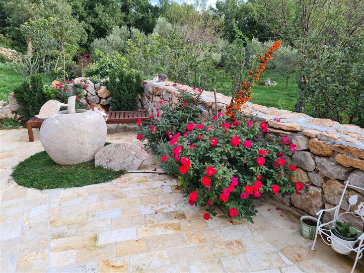 House GORANOVA KUĆA