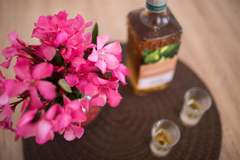 Apartment A1, for 5 persons