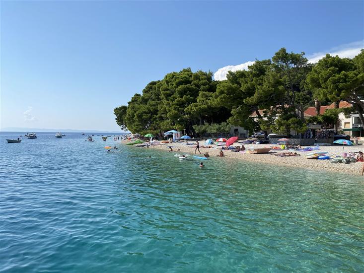 Apartment and Rooms Pansion Duba