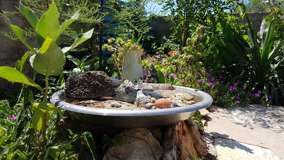 Apartments Snježana