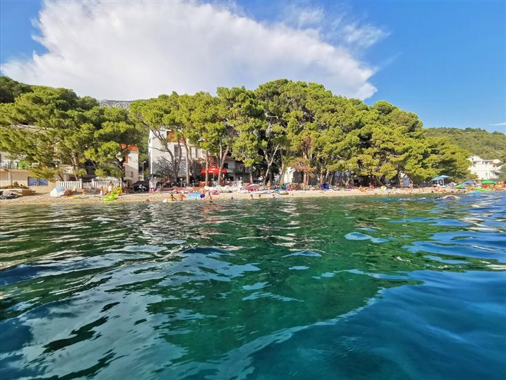 Apartment and Rooms Pansion Duba