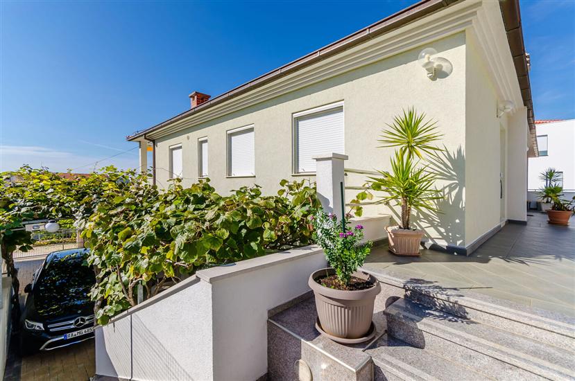 Appartamenti Palm tree