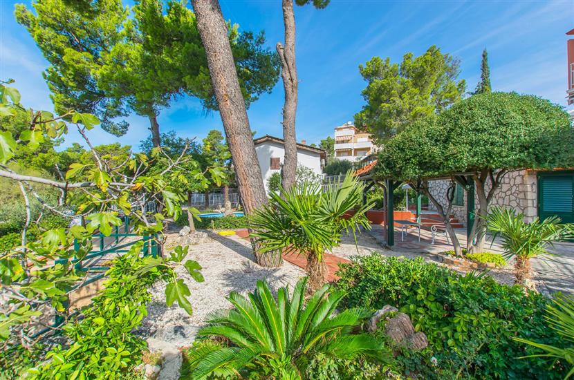 Apartment and Rooms Franka