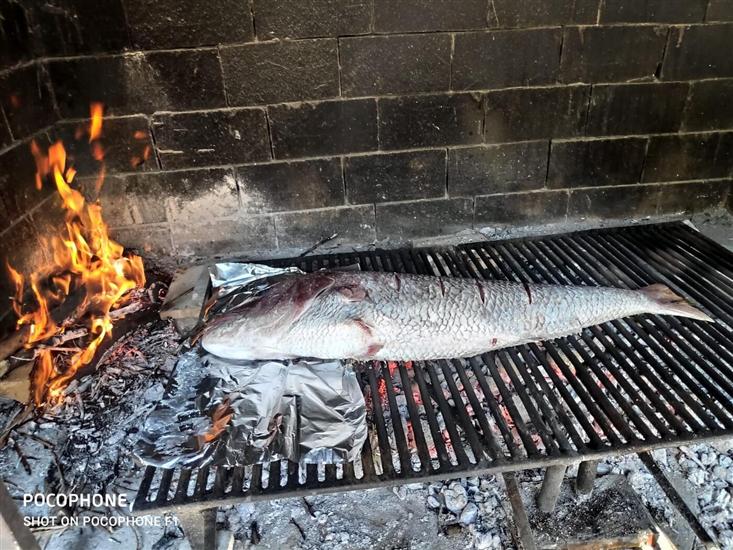 Apartment and Rooms Franka