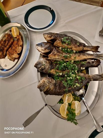 Apartment and Rooms Franka