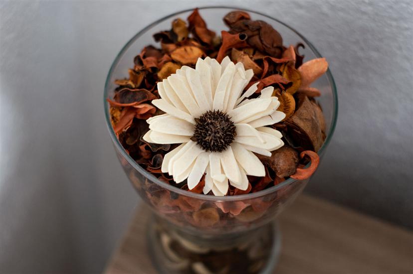 Hiša K1, na 4 osebe