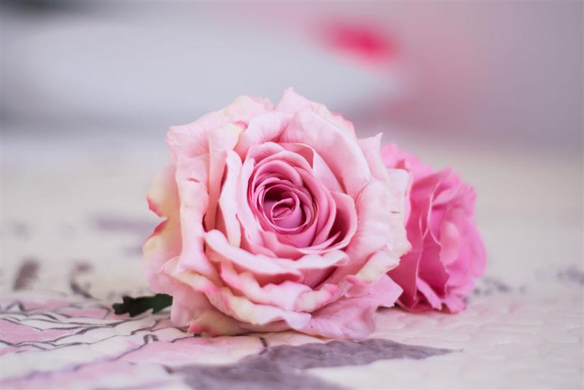 Hiša K1, na 4 osebe