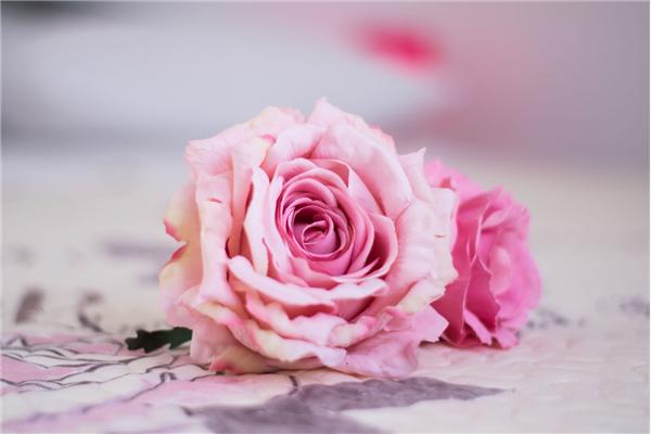 Hiša K1, na 4 osebe