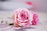 Дом K1, для 4 лиц