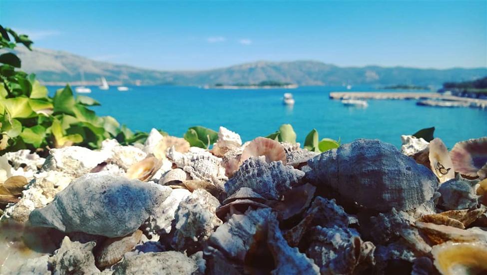 Apartment and Room Silvana