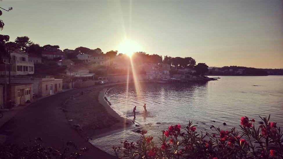 Apartment and Room Silvana