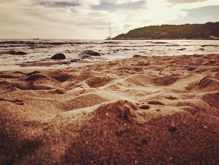 Apartment and Room Silvana