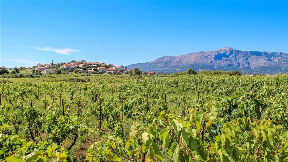 Apartment and Room Silvana