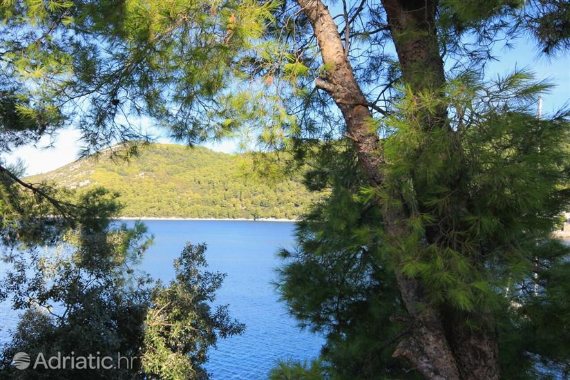 Apartment A2, for 2 persons