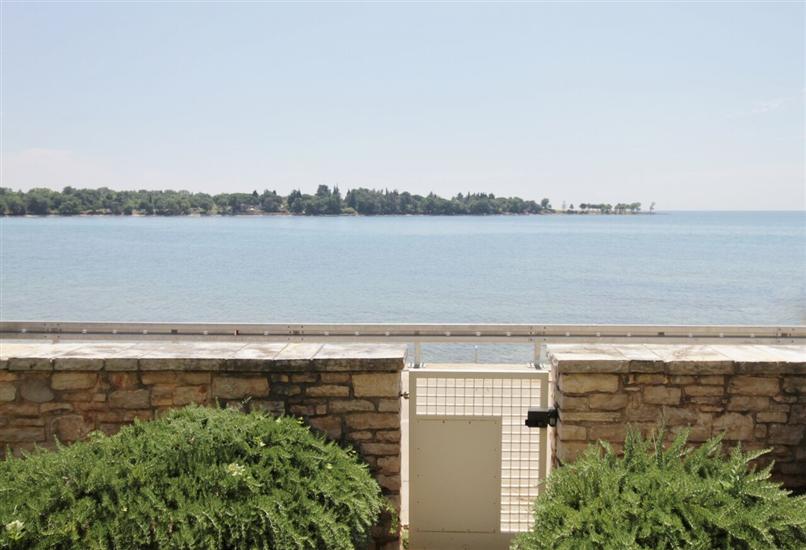 Villa ISTRIAN WITH UNIQUE SEA VIEW