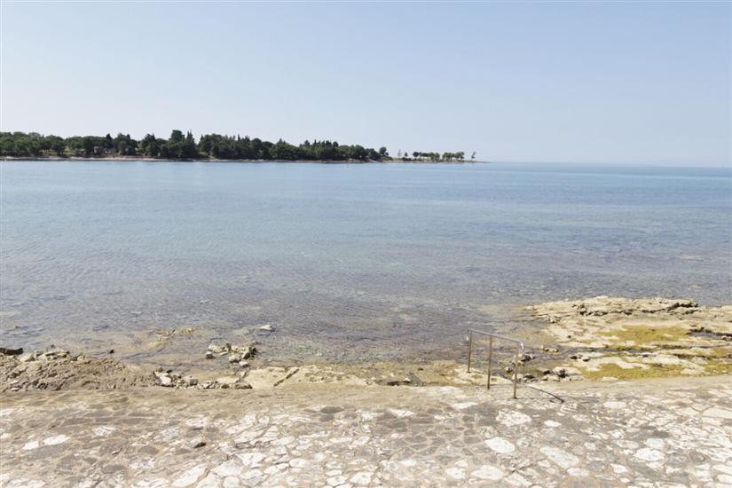 Villa ISTRIAN WITH UNIQUE SEA VIEW