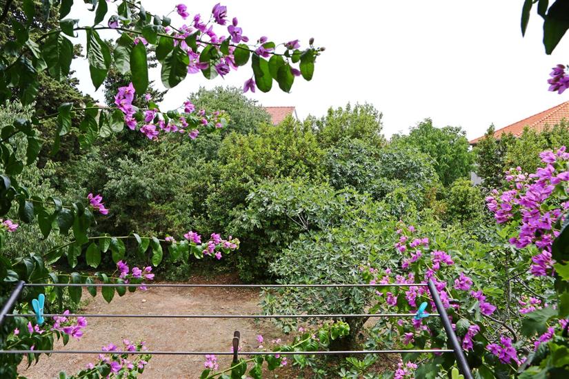 Apartment A1, for 2 persons