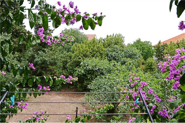 Apartment A1, for 2 persons