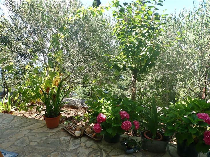 Apartment A1, for 2 persons