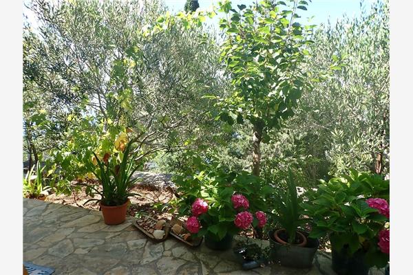 Apartment A1, for 2 persons