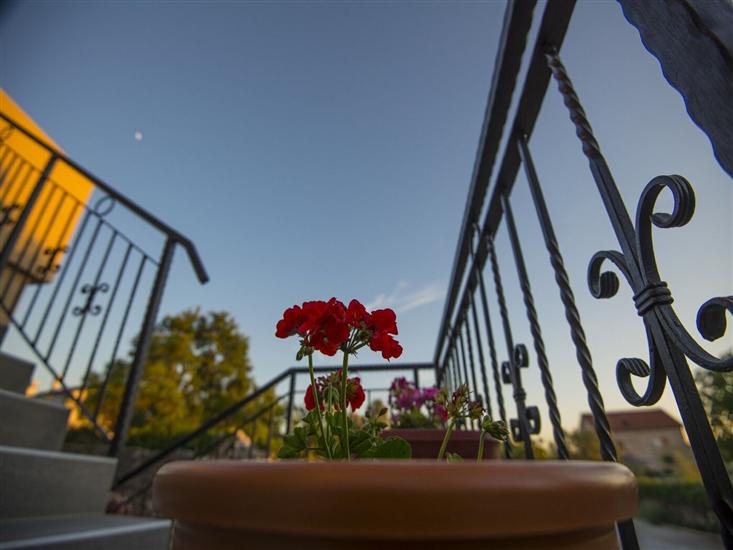 Apartments PUNTA-in the stone house