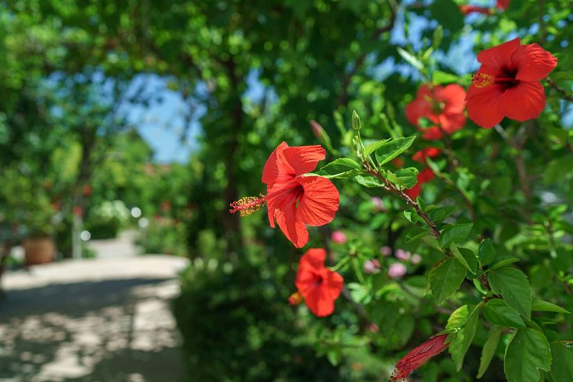 Apartments Nostro Palazzo