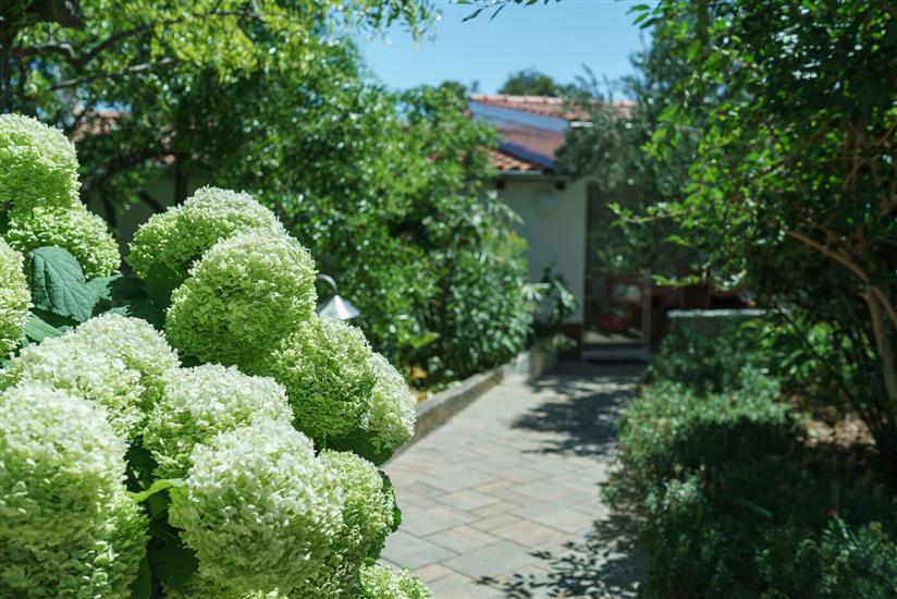 Apartments Nostro Palazzo