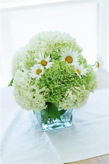 Apartment A4, for 3 persons