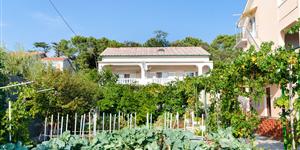 Apartment - Lopar - island Rab