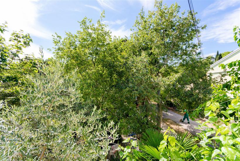 Apartment A7, for 8 persons