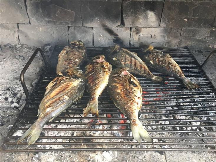 Apartment Lily with pool Srima