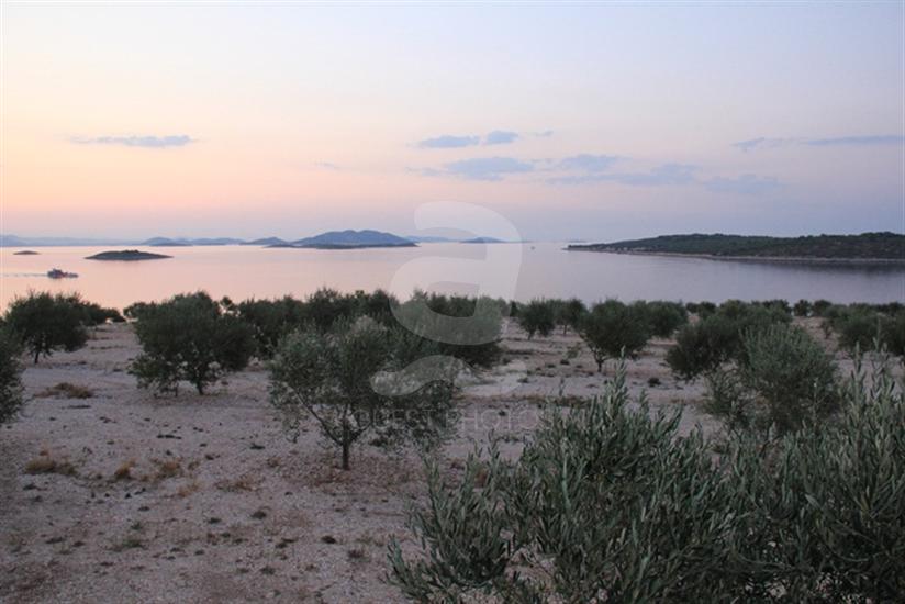 Zizanj - island Zizanj