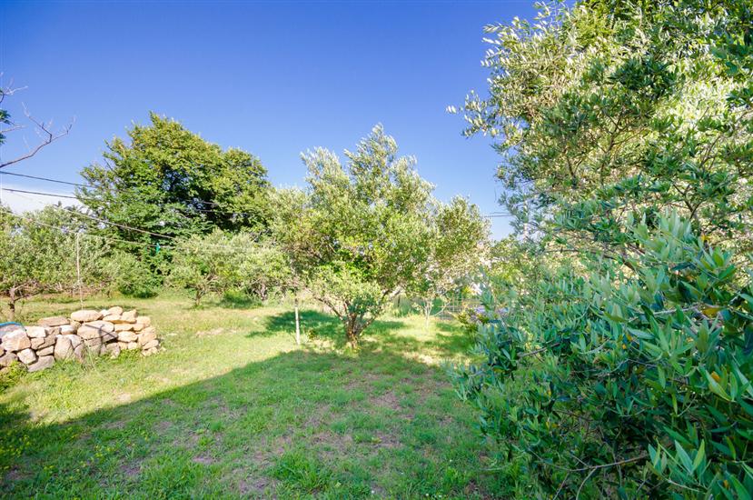 Apartments Marija i Lino