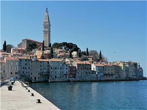 Lägenhet Cozy studio Rovinj, Storlek 33,00 m2, Luftavstånd till havet 50 m, Luftavståndet till centrum 50 m