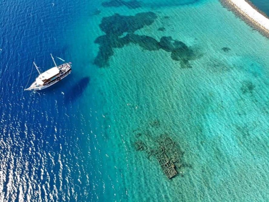 c456566a9fae68fcbd36d547f0d8a222-original