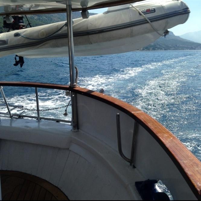 ad6818c512caf121ba15f776f670b8f3-original