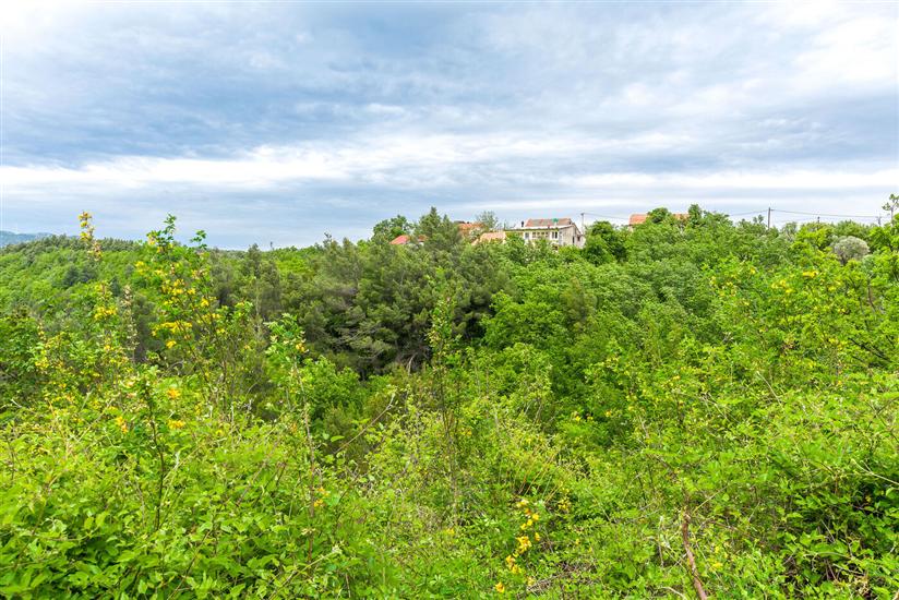 Apartment Green view