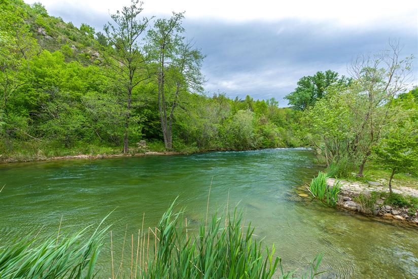 Apartment Green view