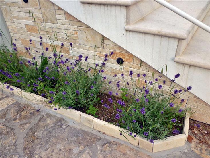 Apartmaj Amarena-50 m from the beach