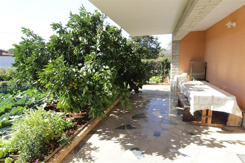 Apartman A2, na 4 osebe