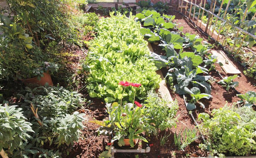 Apartman A2, na 4 osebe