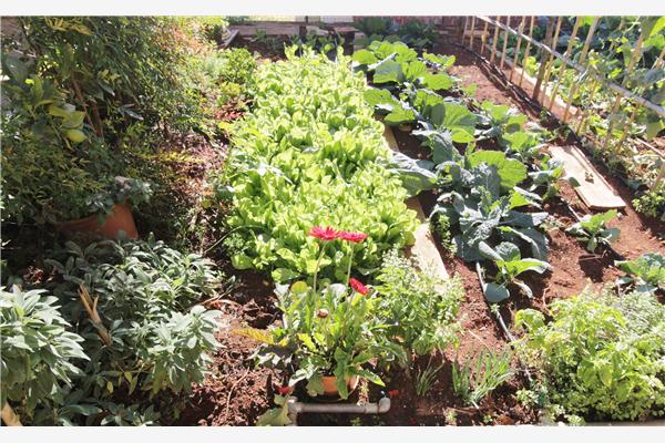 Apartman A2, na 4 osebe