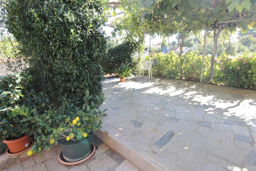 Apartmaji Marija Savudrija