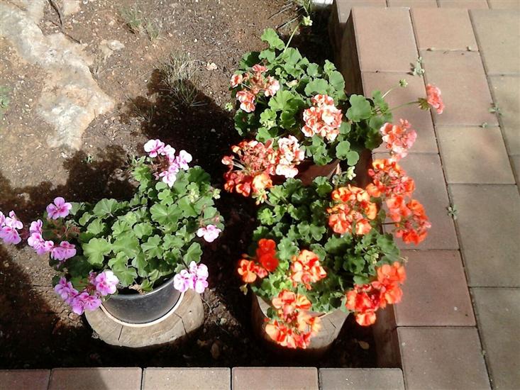 Apartment A1, for 2 persons