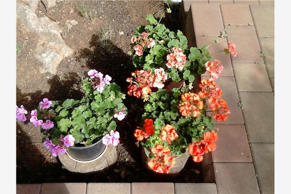 Apartment A1, for 2 persons