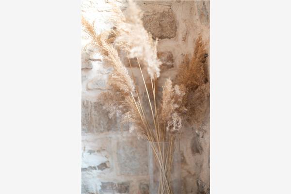 House K1, for 5 persons