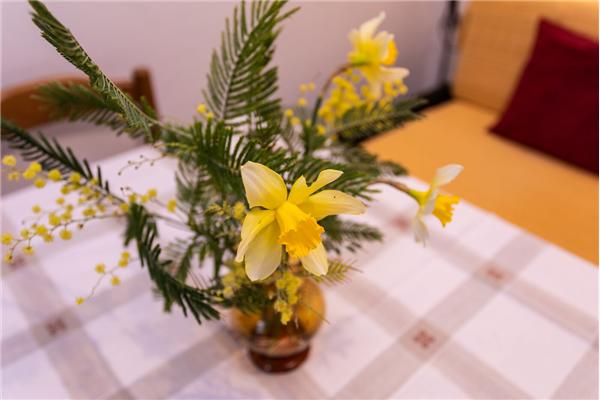 Apartament A1, dla 3 osób