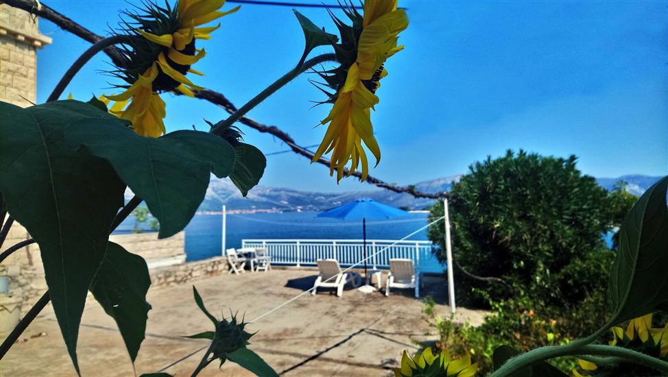 Apartment and Room Silvana