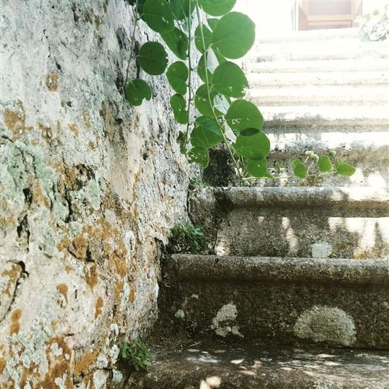 Room S1, for 2 persons