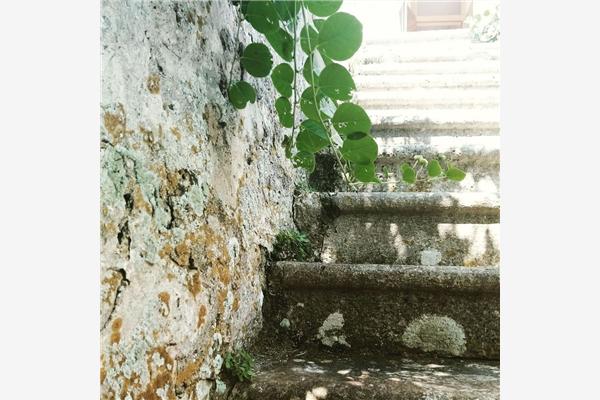 Room S1, for 2 persons